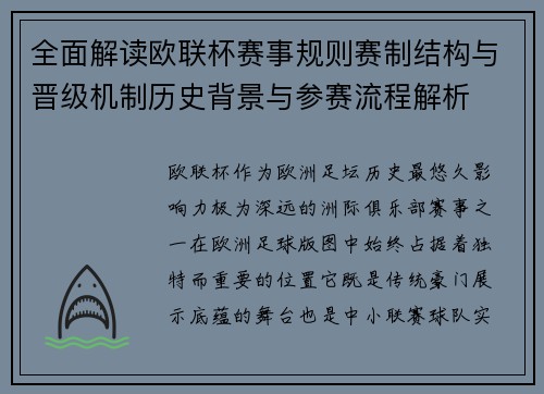 全面解读欧联杯赛事规则赛制结构与晋级机制历史背景与参赛流程解析